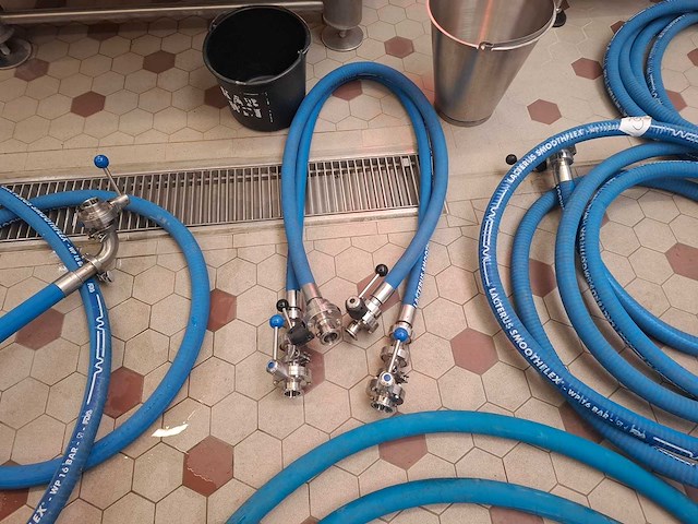 Bierslang (8x) - afbeelding 4 van  10
