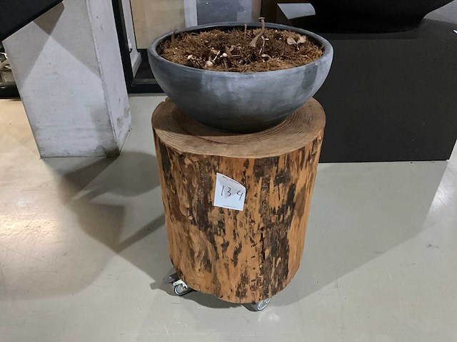 Bijzettafel - boomstam - afbeelding 1 van  7