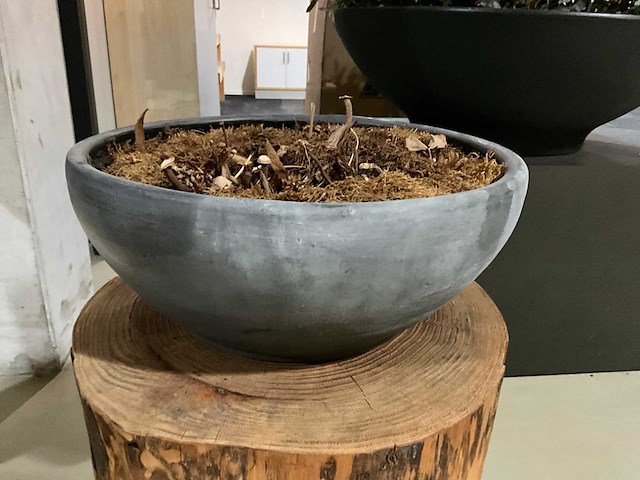 Bijzettafel - boomstam - afbeelding 5 van  7