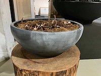 Bijzettafel - boomstam - afbeelding 5 van  7