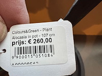 Bijzettafel met kunstplant en pot met deksel, raw interiors/colours&green - afbeelding 7 van  7