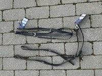 Bijzetteugels ronde ringen + martingaal paarden - afbeelding 1 van  4