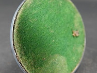 Bijzondere kandelaar - afbeelding 5 van  5