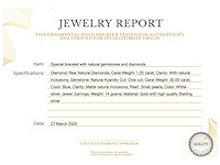 Bijzondere oorbellen met natuurlijke edelstenen en diamant - afbeelding 3 van  11