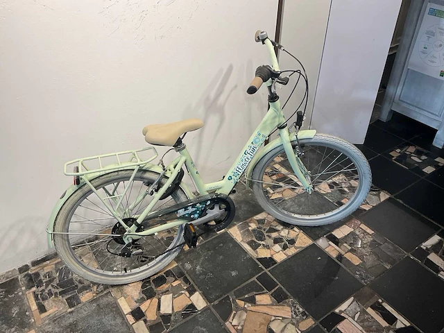 Bike fun flowerfun girls 22 kinderfiets 22” - afbeelding 7 van  7