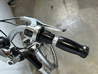 Bikkel gouden leeuw elektrische damesfiets - afbeelding 6 van  6