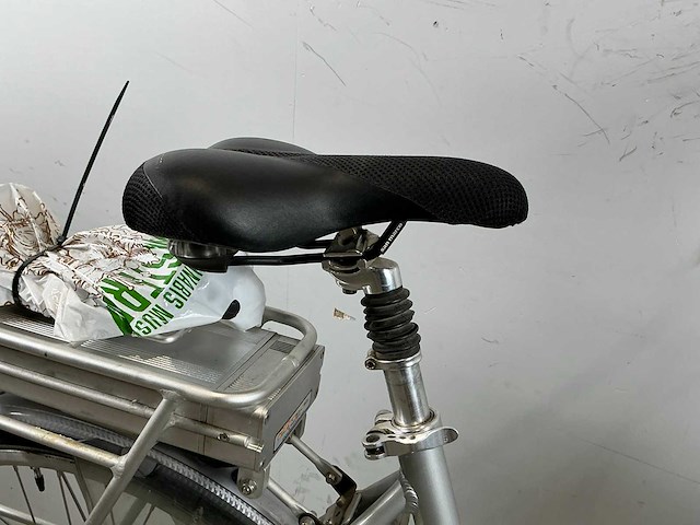 Bikkel gouden leeuw elektrische damesfiets - afbeelding 4 van  5