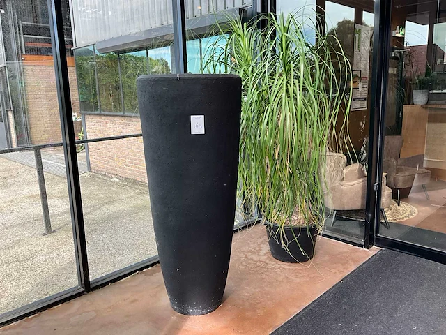 Binnenpot (2x) - afbeelding 1 van  4