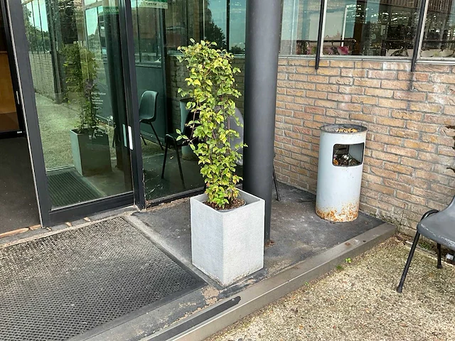 Binnenpot (2x) - afbeelding 4 van  4
