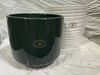 Binnenpot (55x) - afbeelding 1 van  13