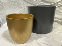 Binnenpot - afbeelding 1 van  9