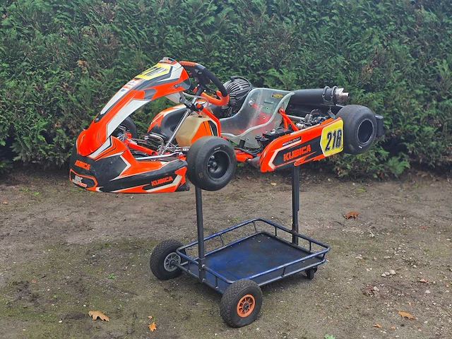 Birel art c28-s10 - racing kart - robert kubica - 60cc tm racing - afbeelding 1 van  12