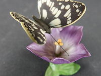 Biscuitporseleinen beeldje van een vlinder op een bloem uit de "butterflies of the world" collectie van franklin mint - afbeelding 2 van  5