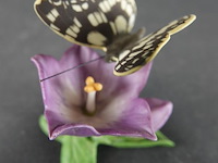 Biscuitporseleinen beeldje van een vlinder op een bloem uit de "butterflies of the world" collectie van franklin mint - afbeelding 3 van  5