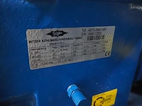 Bitzer kühlmaschinenbau gmbh - afbeelding 5 van  25