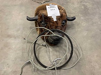 Bizonhoofd + lasso - afbeelding 1 van  1