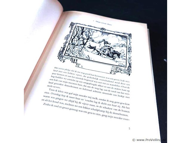 Black beauty - afbeelding 3 van  5