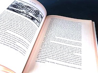 Black beauty - afbeelding 4 van  5