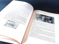 Black beauty - afbeelding 5 van  5