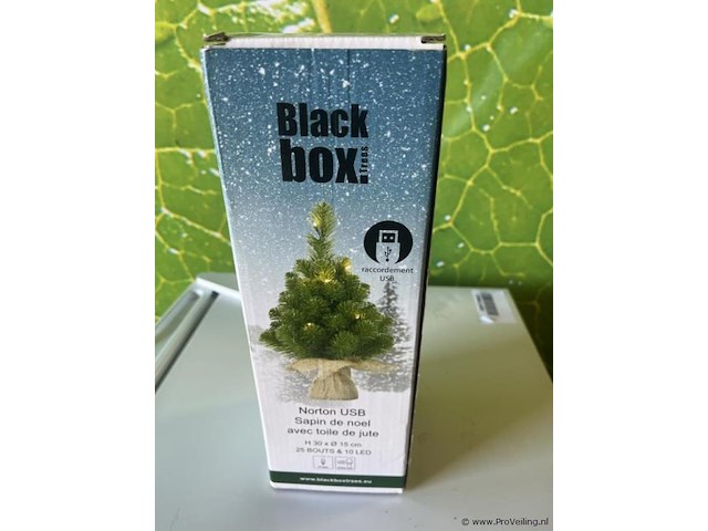 Black box norton usb kerstboom met burlap - afbeelding 4 van  4