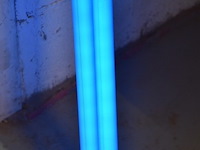 "black light" - afbeelding 2 van  5
