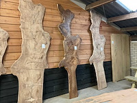 Blad / paneel - afbeelding 1 van  2