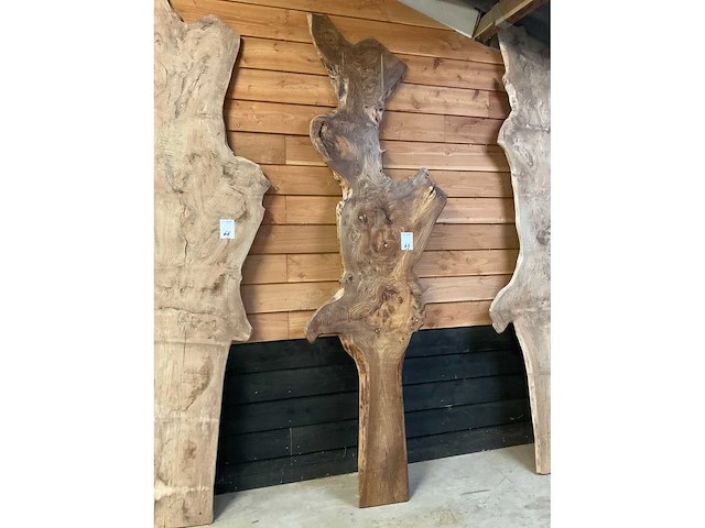 Blad / paneel - afbeelding 2 van  2