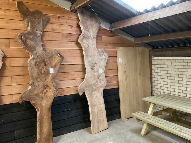 Blad / paneel - afbeelding 1 van  2