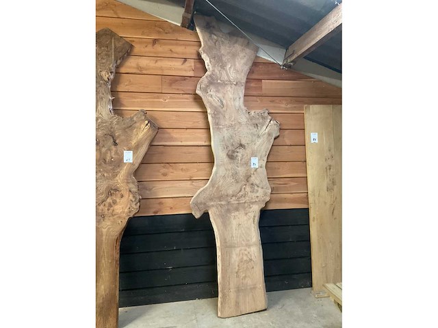 Blad / paneel - afbeelding 2 van  2