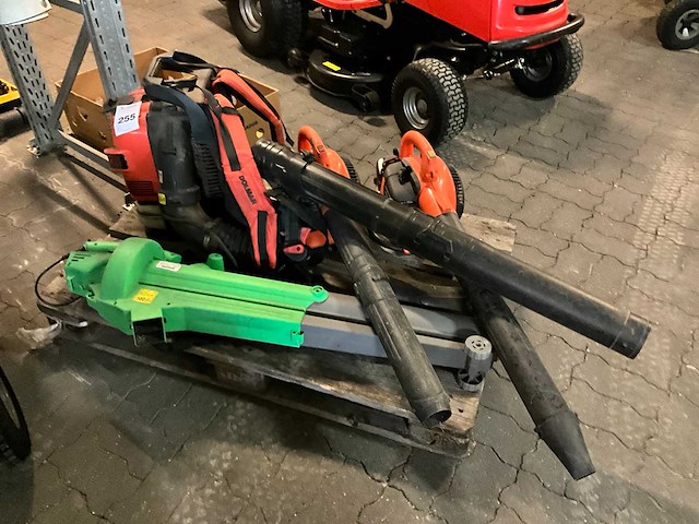 Bladblazer (4x) - afbeelding 1 van  9