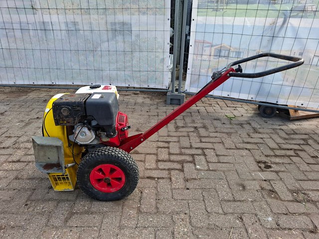 Bladblazer - afbeelding 1 van  7