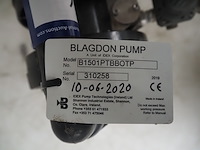 Blagdon - afbeelding 7 van  7