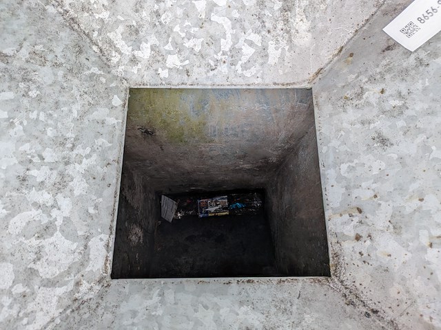 Blikmikker, stedon - afbeelding 9 van  10