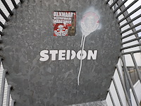 Blikmikker, stedon - afbeelding 9 van  11