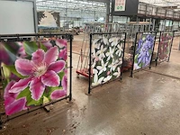 Bloem spandoek in frame (5x) - afbeelding 3 van  5