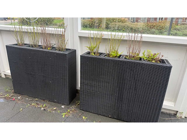 Bloembak (2x) - afbeelding 1 van  4