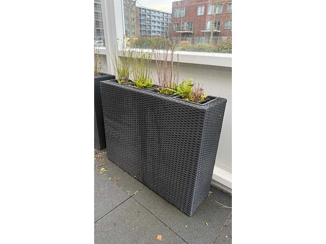 Bloembak (2x) - afbeelding 2 van  4