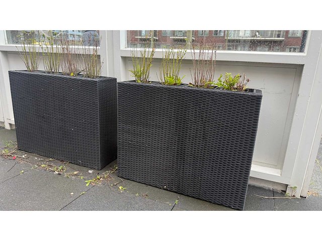 Bloembak (2x) - afbeelding 4 van  4