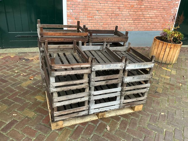 Bloembolkrat (19x) - afbeelding 1 van  7