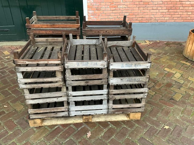 Bloembolkrat (19x) - afbeelding 2 van  7