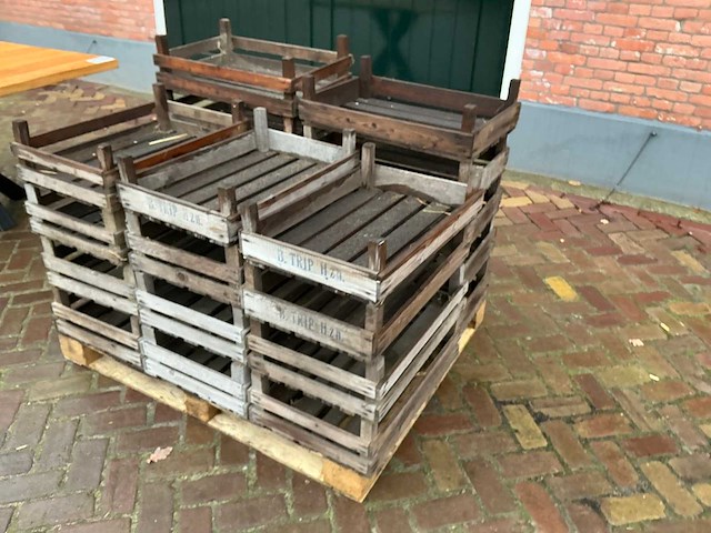 Bloembolkrat (19x) - afbeelding 3 van  7