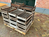 Bloembolkrat (19x) - afbeelding 3 van  7