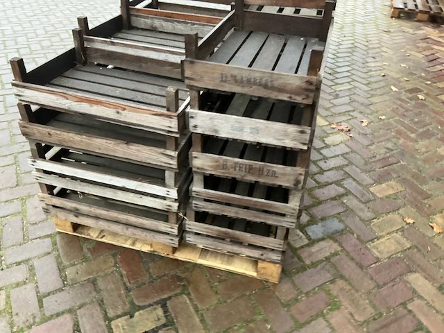 Bloembolkrat (19x) - afbeelding 4 van  7