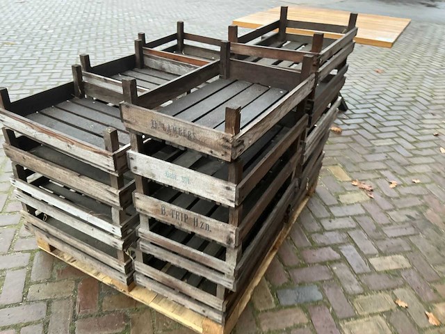 Bloembolkrat (19x) - afbeelding 5 van  7