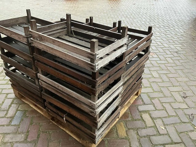 Bloembolkrat (19x) - afbeelding 7 van  7