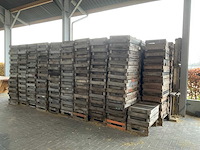 Bloembolkratten (875x) - afbeelding 1 van  5