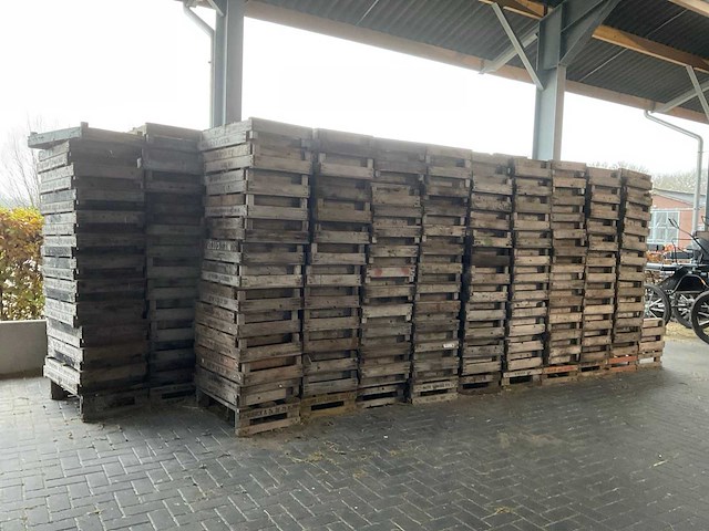 Bloembolkratten (875x) - afbeelding 2 van  5