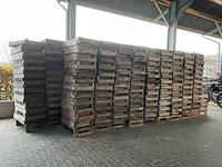 Bloembolkratten (875x) - afbeelding 2 van  5