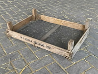 Bloembolkratten (875x) - afbeelding 3 van  5