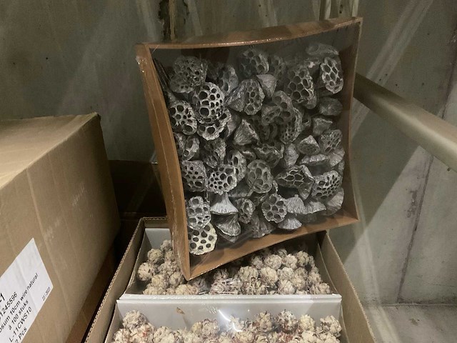 Bloemisterij artikelen - afbeelding 15 van  19